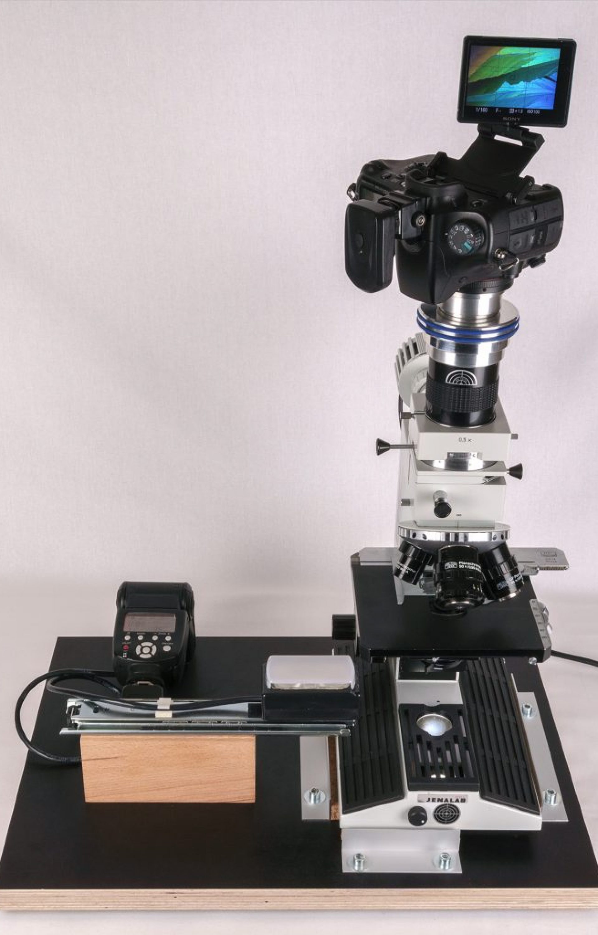 Das Arbeitssetup, ausgestattet mit einem JENALB-Pol und einer Sonderanfertigung der MF-Fotoanpassung APO für die digitale Mikrofotografie von BW-Optik.