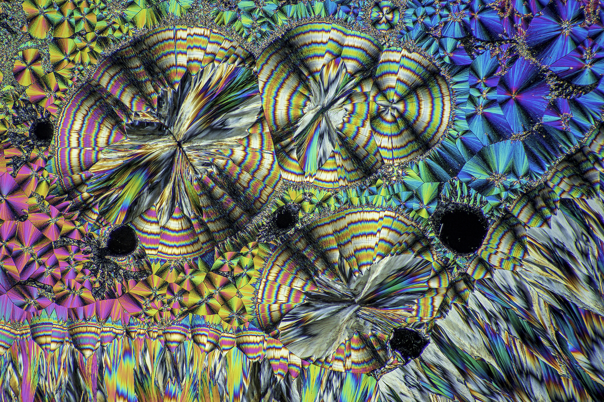 Hippursäure in einer Vergrößerung von 120:1, Mikro Kristall im polarisierten Licht.
