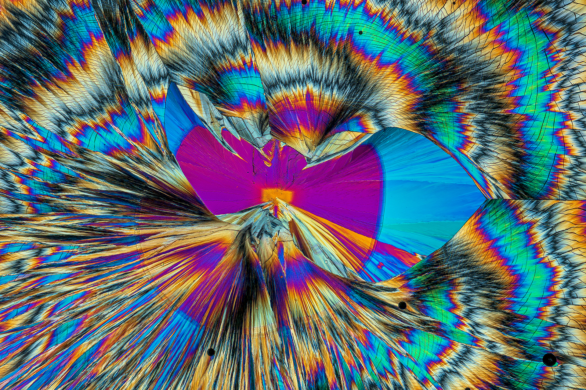 Hippursäure in einer Vergrößerung von 250:1, Mikro Kristall im polarisierten Licht.