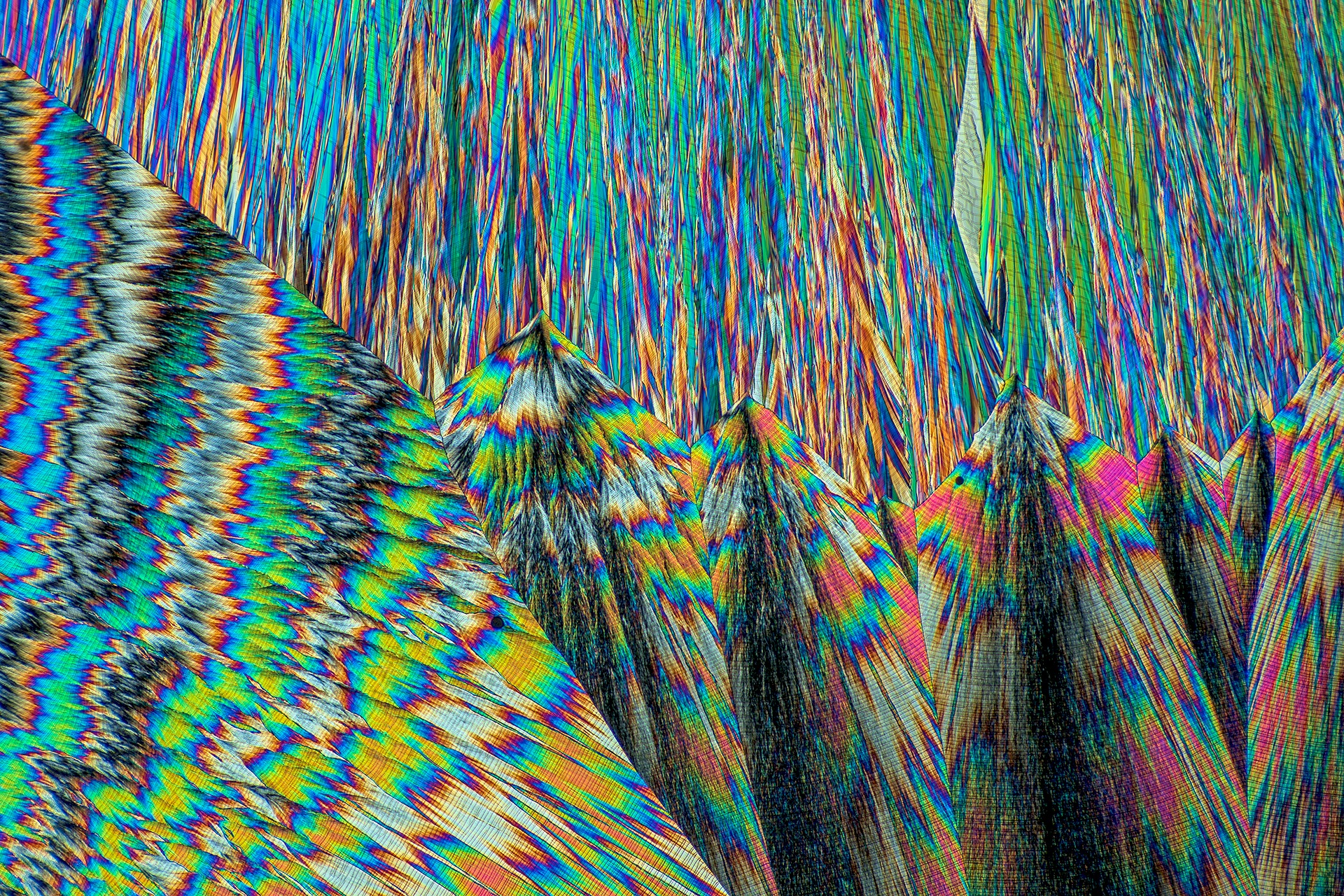 Hippursäure in einer Vergrößerung von 250:1, Mikro Kristall im polarisierten Licht.