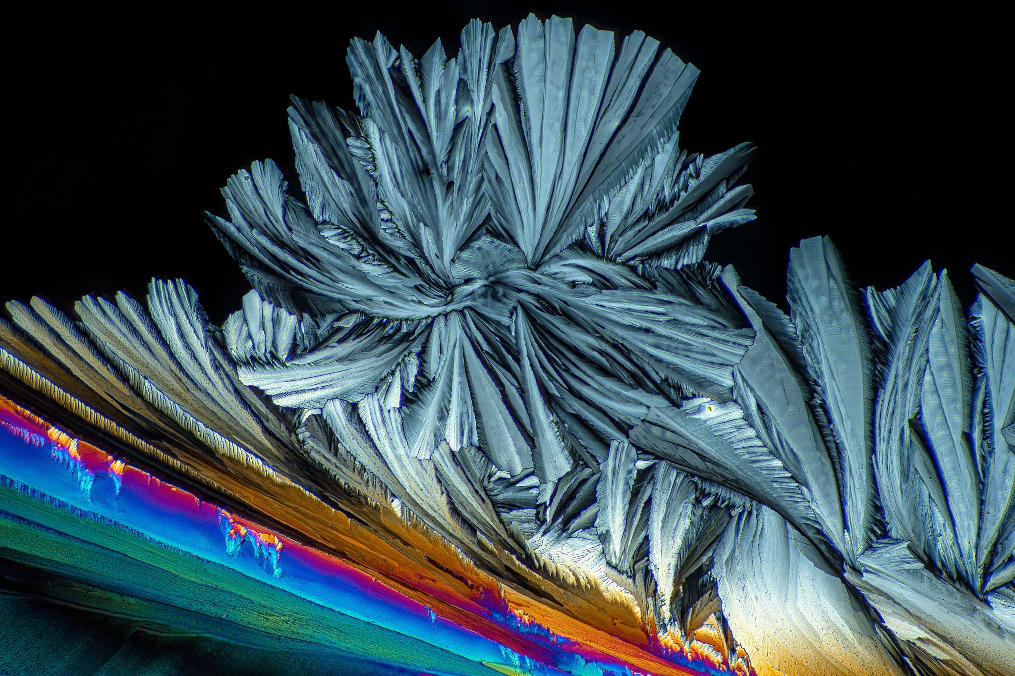 N-ACETYL-L-CYSTEIN NAC in einer Vergrößerung von 250:1, Mikro Kristall i