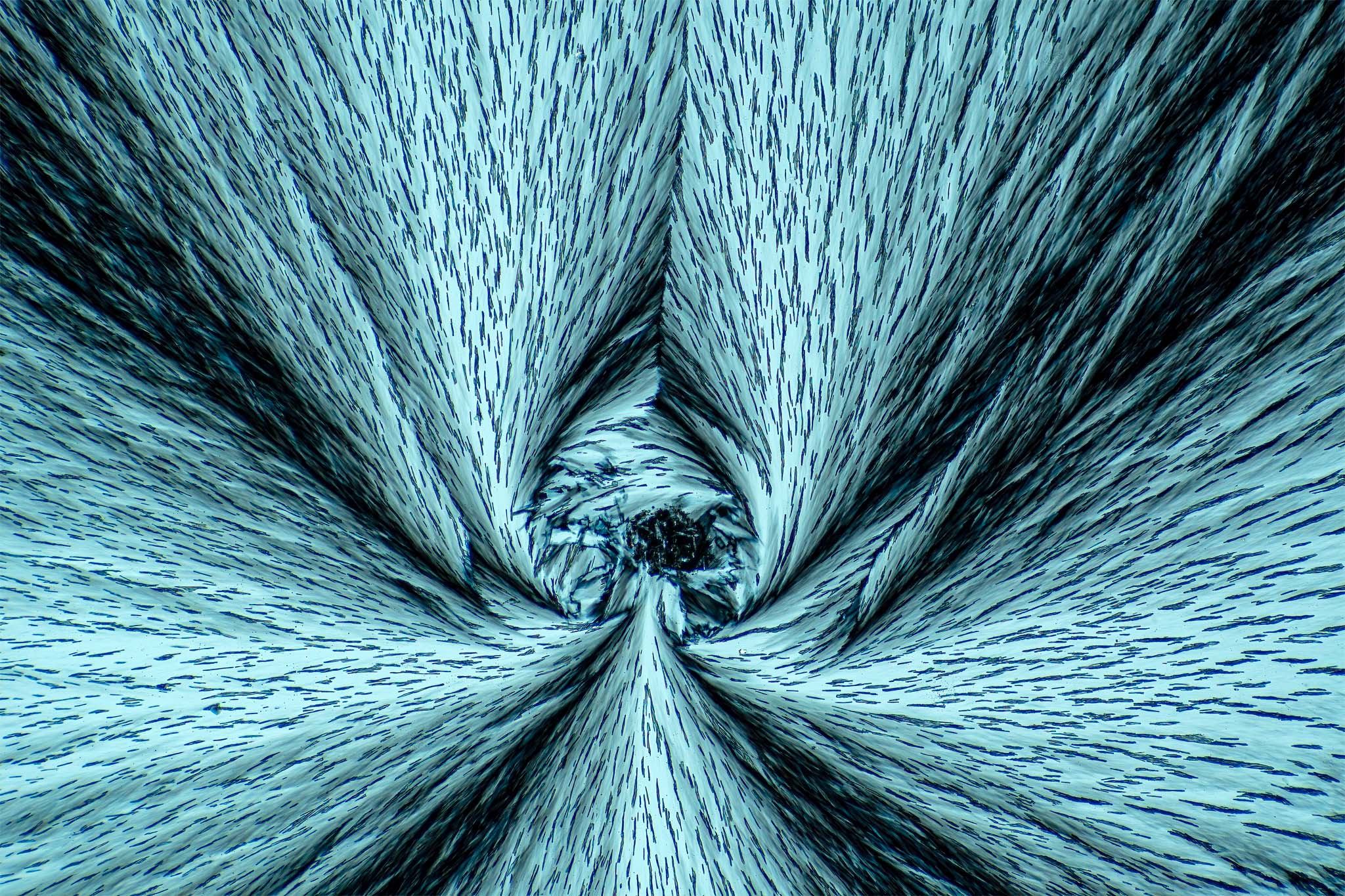 Menthol in einer Vergrößerung von 120:1, Mikro Kristall im polarisierten Licht.