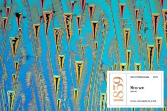 bronze-microcrystals-a-melt-of-urea-and-paracetamol-badge-2