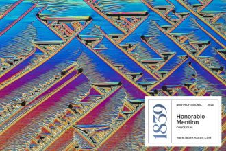 honorable-mention-microcrystals-a-melt-of-urea-and-paracetamol-badge-2