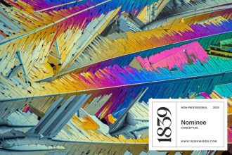 nominee-sulfur-city-badge-2