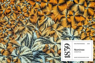 nominee-the-beauty-hidden-by-malic-acid-badge-2